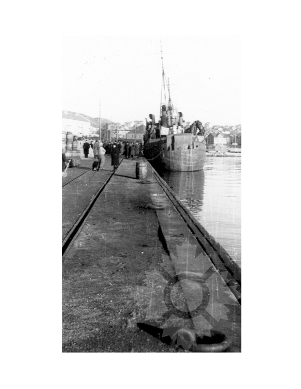 Photo en noir et blanc du navire Noyer (SS) (1939-1949)