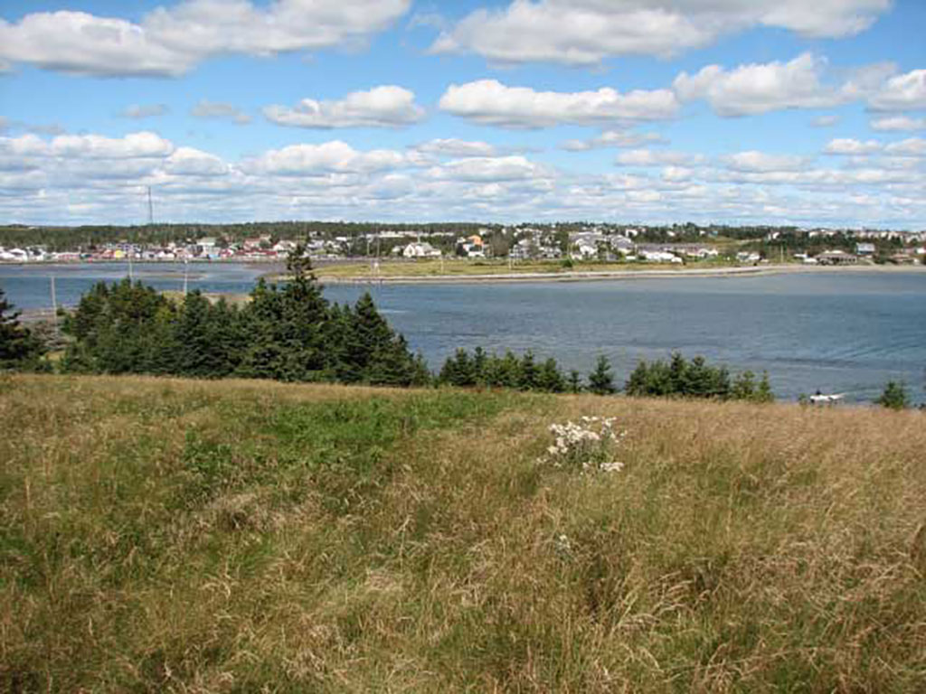 Magnifique paysage d’herbe, de ciel et d’eau.