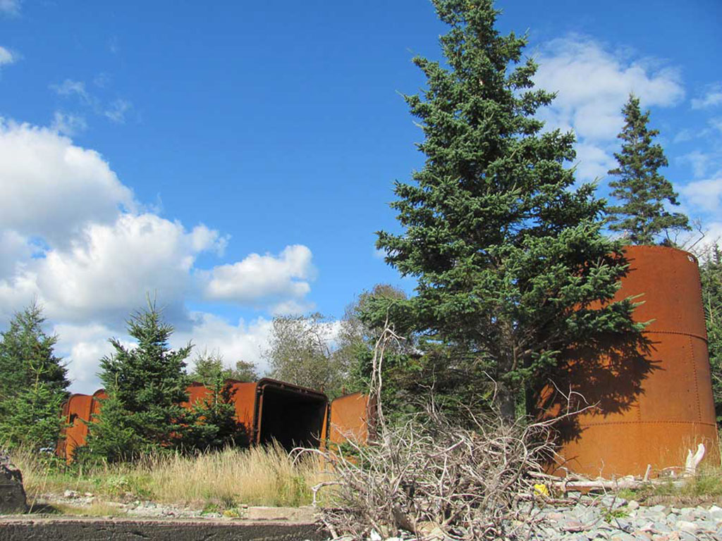 De vieilles structures rouillées sont abandonnées entre les arbres.