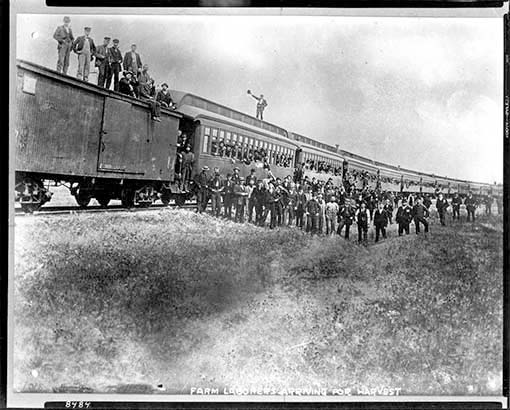 Les gens se pressent autour des wagons. Certaines personnes sont debout sur le toit des wagons de colons.