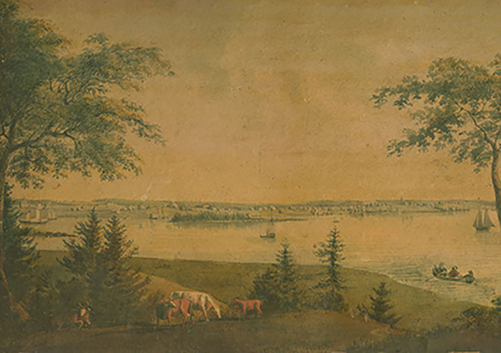 Vieille illustration montrant une baie avec des animaux qui broutent sur la terre.