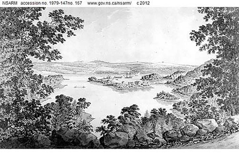 Magnifique dessin d’une île avec des arbres en avant-plan.