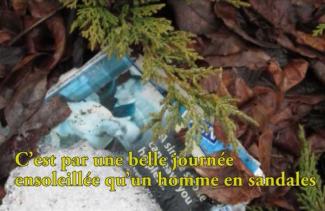 Des branches et des feuilles sont placées autour d’un texte.