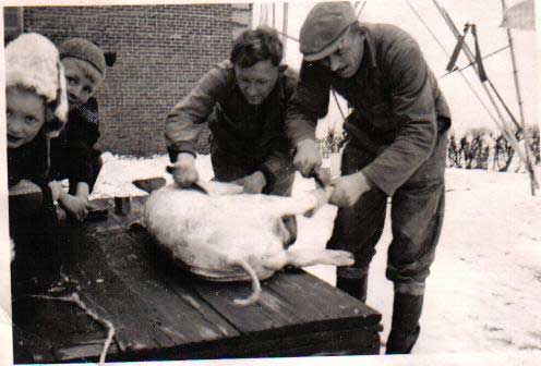 Deux hommes égorgent un cochon et des enfants regardent la caméra.